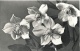 Max Baur - WINTER & WEIHNACHT - 17 OriginalFotographien des MEISTERs der Photographischen MODERNE - signiert verkocht voor € 320!