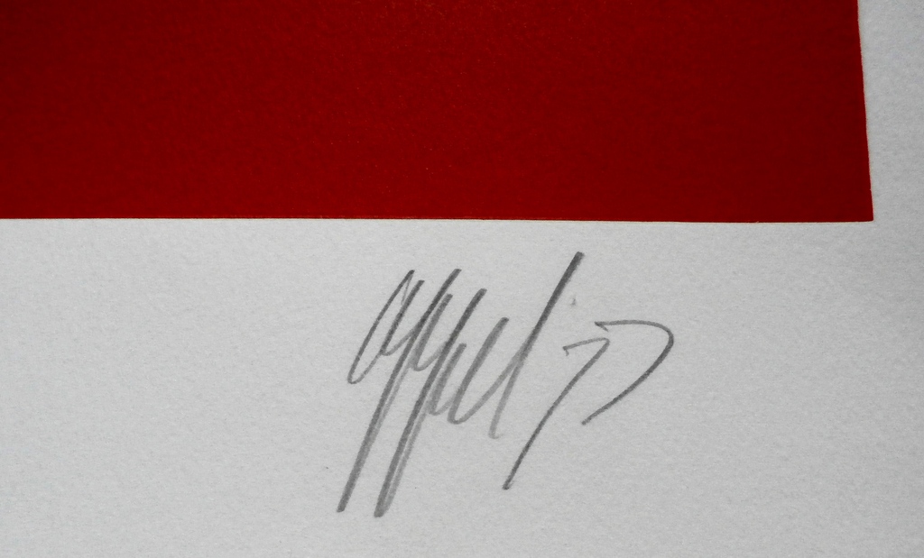 Karel Appel - zeefdruk: A summer evening's slumber - 1977 kopen? Bied vanaf 900!