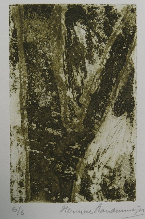 Hermine Standenmeijer: Ets en Aquatint, Zonder titel kopen? Bied vanaf 1!