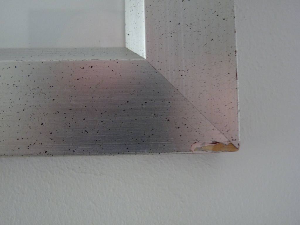 JAN CREMER   ZEEFDRUK  TULPEN kopen? Bied vanaf 185!