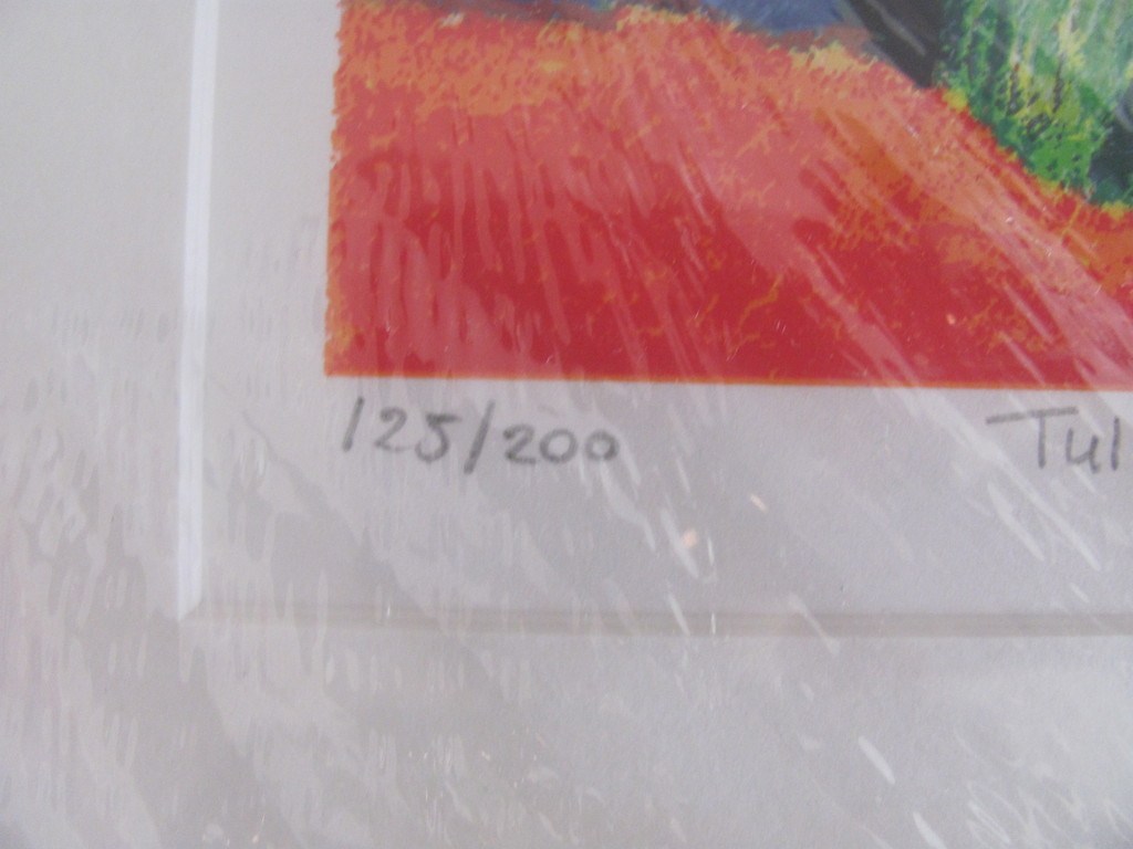 Saskia Bremer (1964), 2 zeefdrukken en kunstboek kopen? Bied vanaf 25!