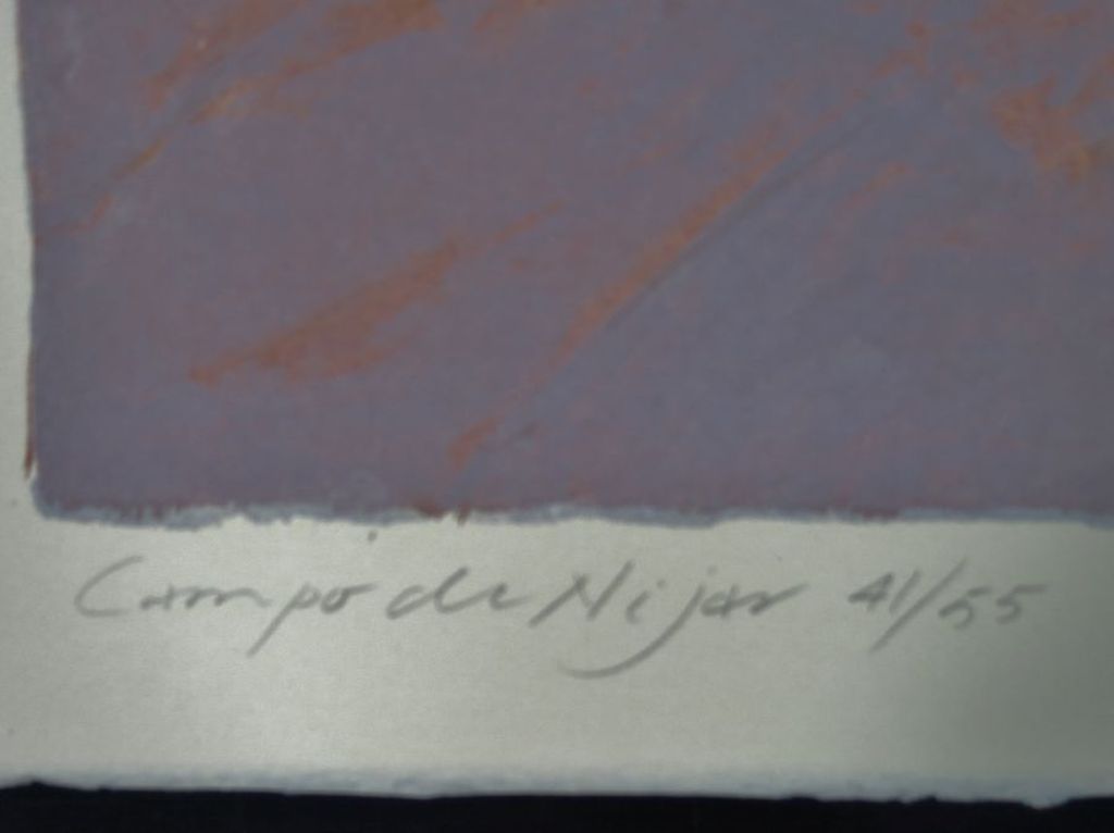 Jan Hein van Rooij: Litho, Campo di Nihar kopen? Bied vanaf 1!