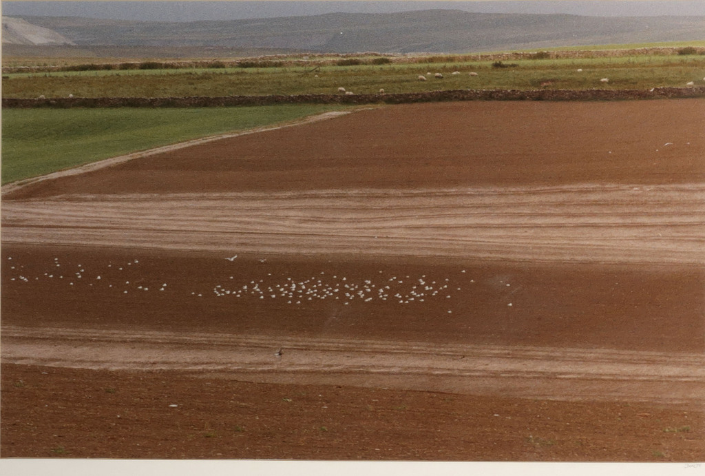 Jan Kalff: Foto, Z.T. Weiland - Ingelijst kopen? Bied vanaf 1!
