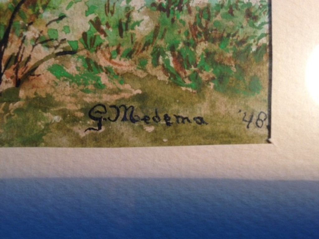 Grietje Nagel-Medema, aquarel, Drents heidelandschap kopen? Bied vanaf 10!