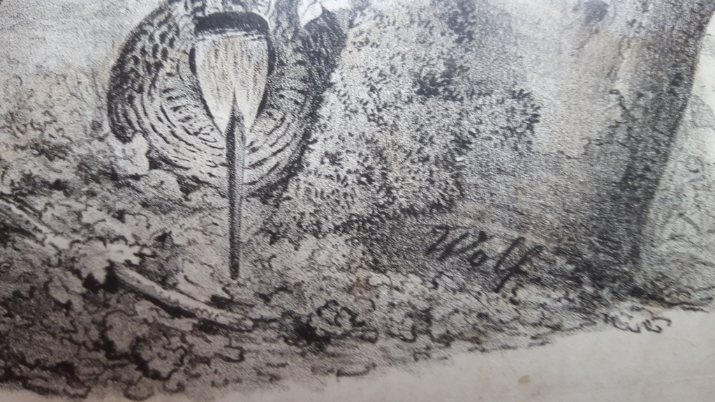F.A. Verster - Litho, gesigneerd linksonder (ingelijst) kopen? Bied vanaf 49!