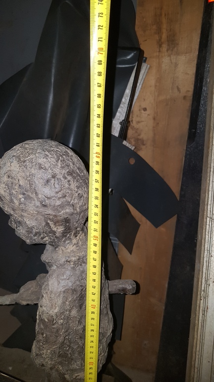 Vis mannetje Adri de Waard kopen? Bied vanaf 1000!