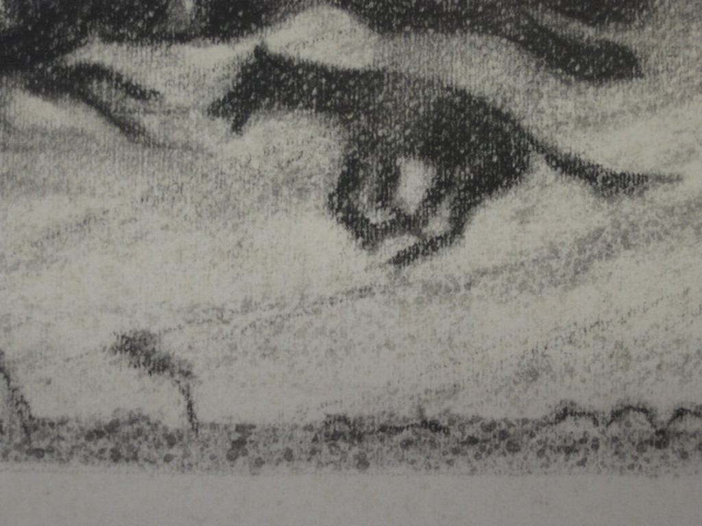 oude litho ca. 1930 "paard en ruiter" gesigneerd Marc Chagall ? kopen? Bied vanaf 1!