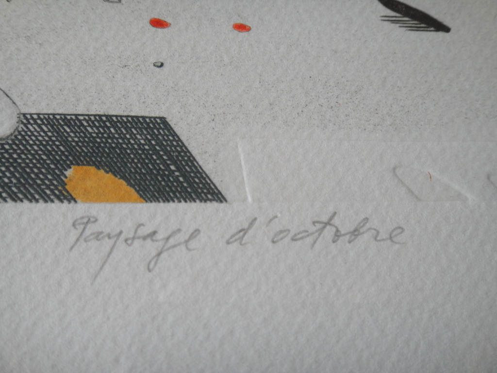 Kemal Sirbegovic, ets, "Paysage d'octobre" kopen? Bied vanaf 1!