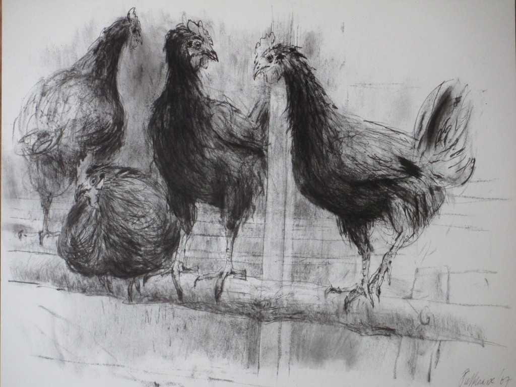 Piet Klaasse, Kippen, Litho kopen? Bied vanaf 1!