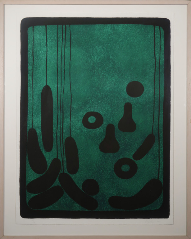 Hans Hovy: Litho, Z.T. Groen - Ingelijst kopen? Bied vanaf 35!