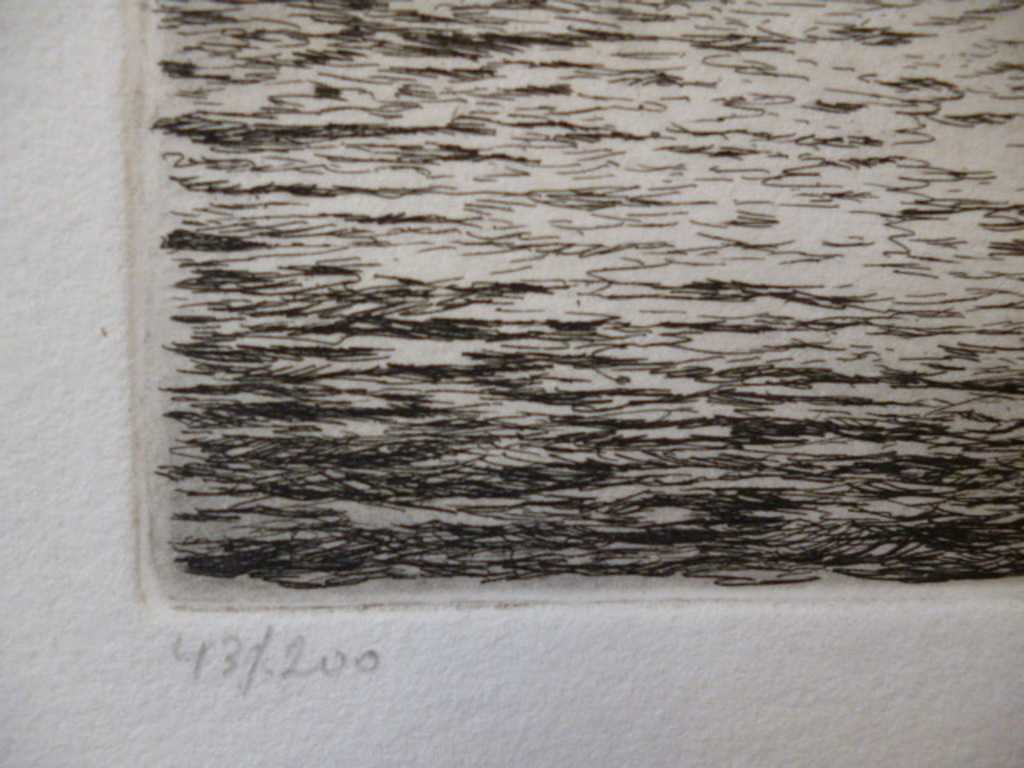 Wim van der Meij - ets - Melkbrug over het Spaarne, Haarlem kopen? Bied vanaf 40!