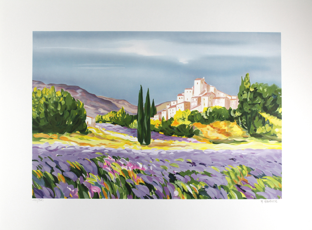 ANNE MARIE BRIANTE - PROVENCIALISCHES BLUMENFELD - Gr Litho - Handgesigneerd kopen? Bied vanaf 1!