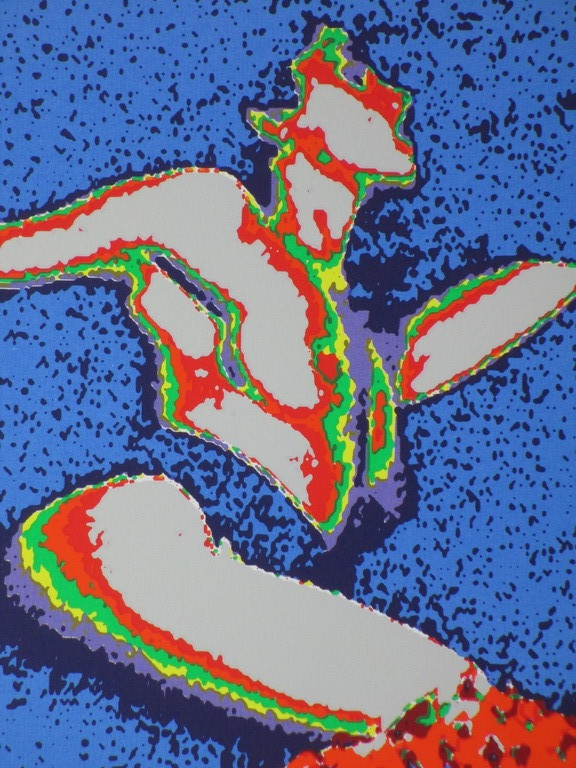 Henk van der Vet, Naaktclubdanseres, Kleurenzeefdruk kopen? Bied vanaf 35!