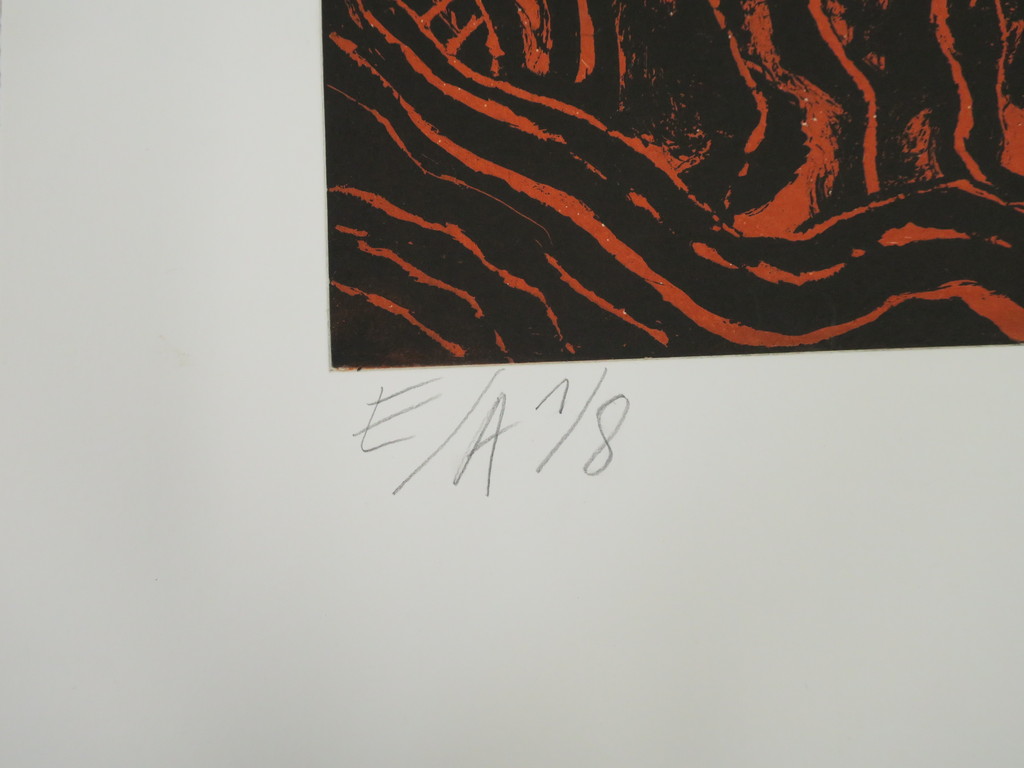 Corneille: Ets en Aquatint, Hoggar en fete (Zeer Groot!) kopen? Bied vanaf 600!