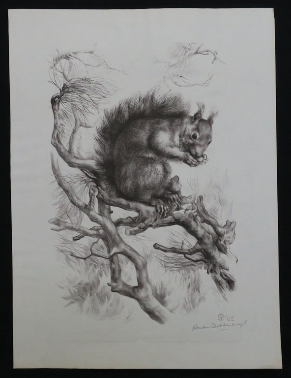 Aart van Dobbenburgh: Litho, Eekhoorn kopen? Bied vanaf 1!