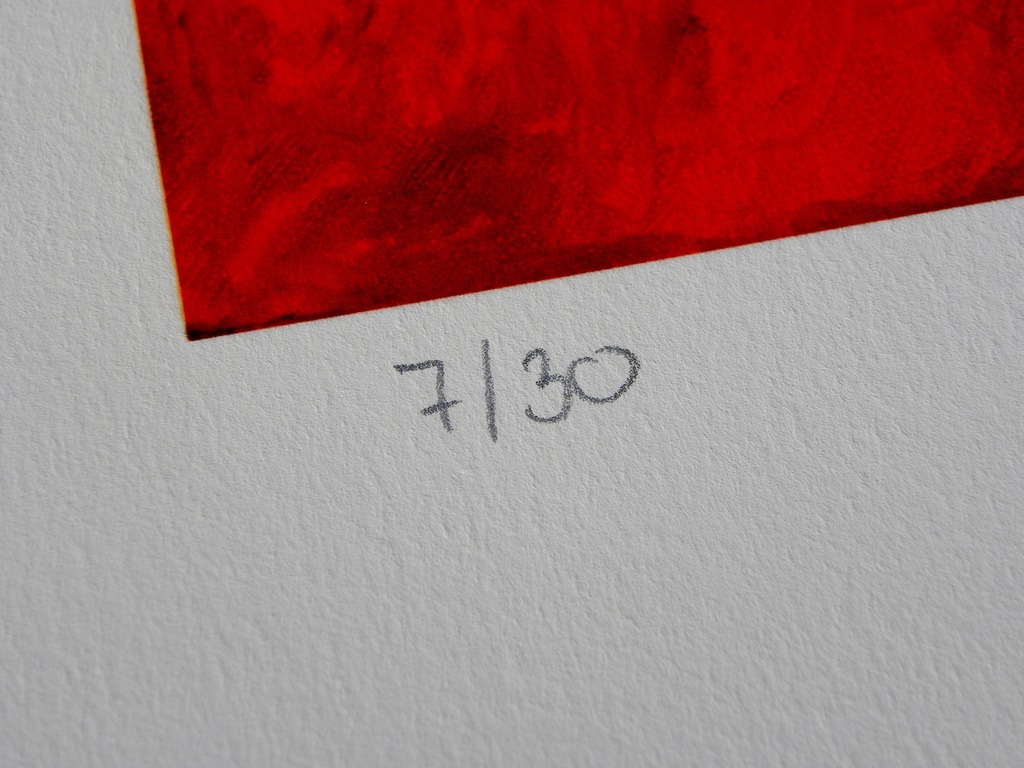 Armando - 'Landschaft' - gesigneerde giclée - oplage 30 ex. - 2014 kopen? Bied vanaf 225!