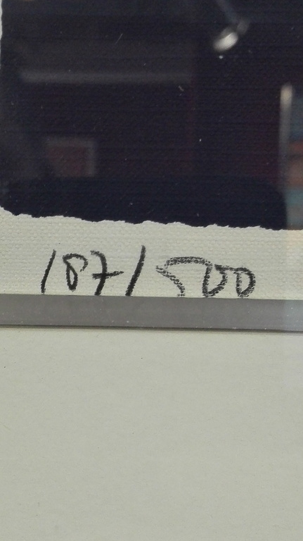 Hans Innemee, zeefdruk op papier in lijst, Titel: Kwaak Kwaak kopen? Bied vanaf 50!