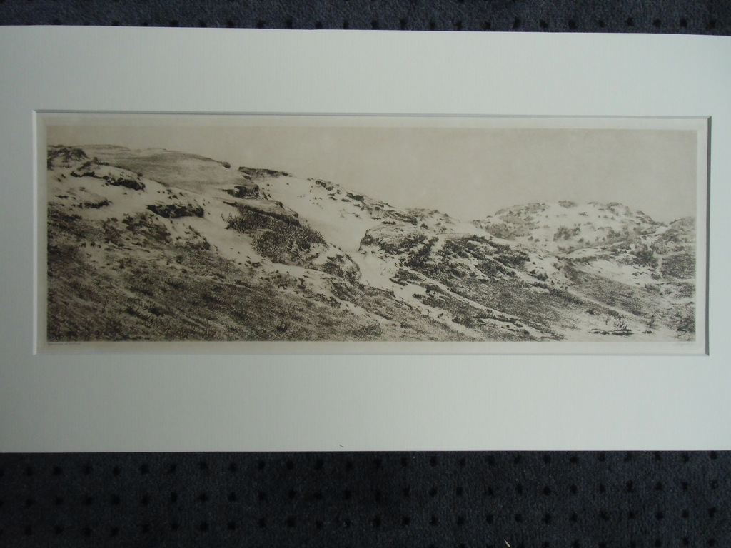 GROOT DUINLANDSCHAP / ETS VAN DIRK HARTING kopen? Bied vanaf 50!