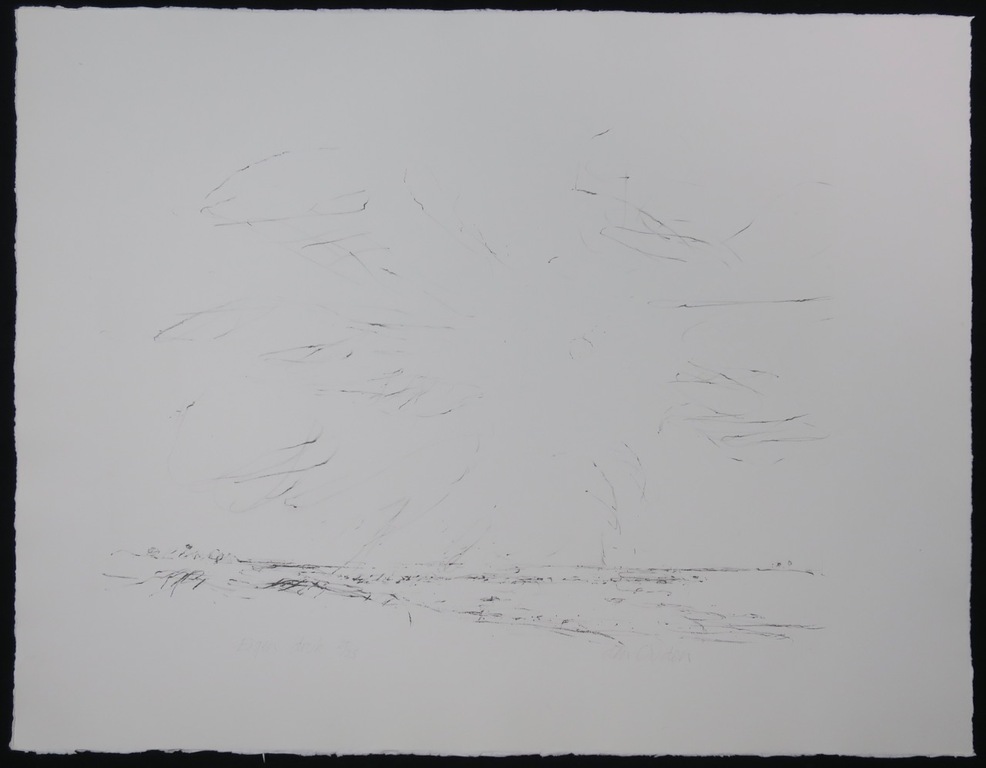 Willem den Ouden Litho, Z.T. kopen? Bied vanaf 1!