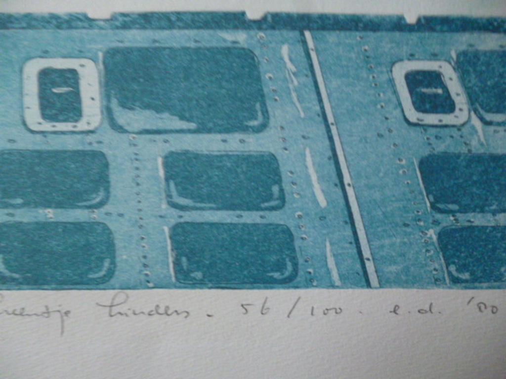 Leentje Linders - kleurenets - Flying above the clouds kopen? Bied vanaf 60!