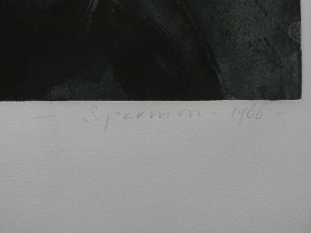 Kees Spermon - ets/ aquatint: 12 uur - 1966 kopen? Bied vanaf 45!