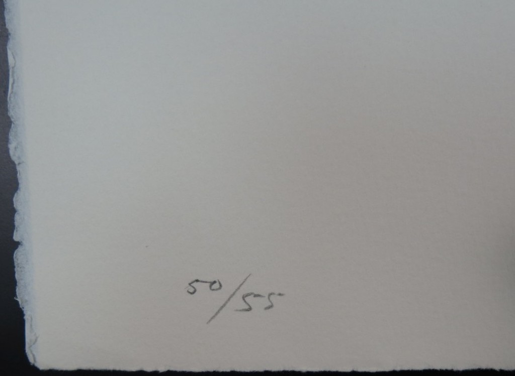 Joris Geurts: Houtsnede, Z.T. (blauw/zwart) kopen? Bied vanaf 1!