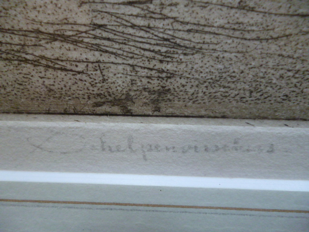 Tjeerd Bottema - kleurenets - Schelpenvisschers kopen? Bied vanaf 125!