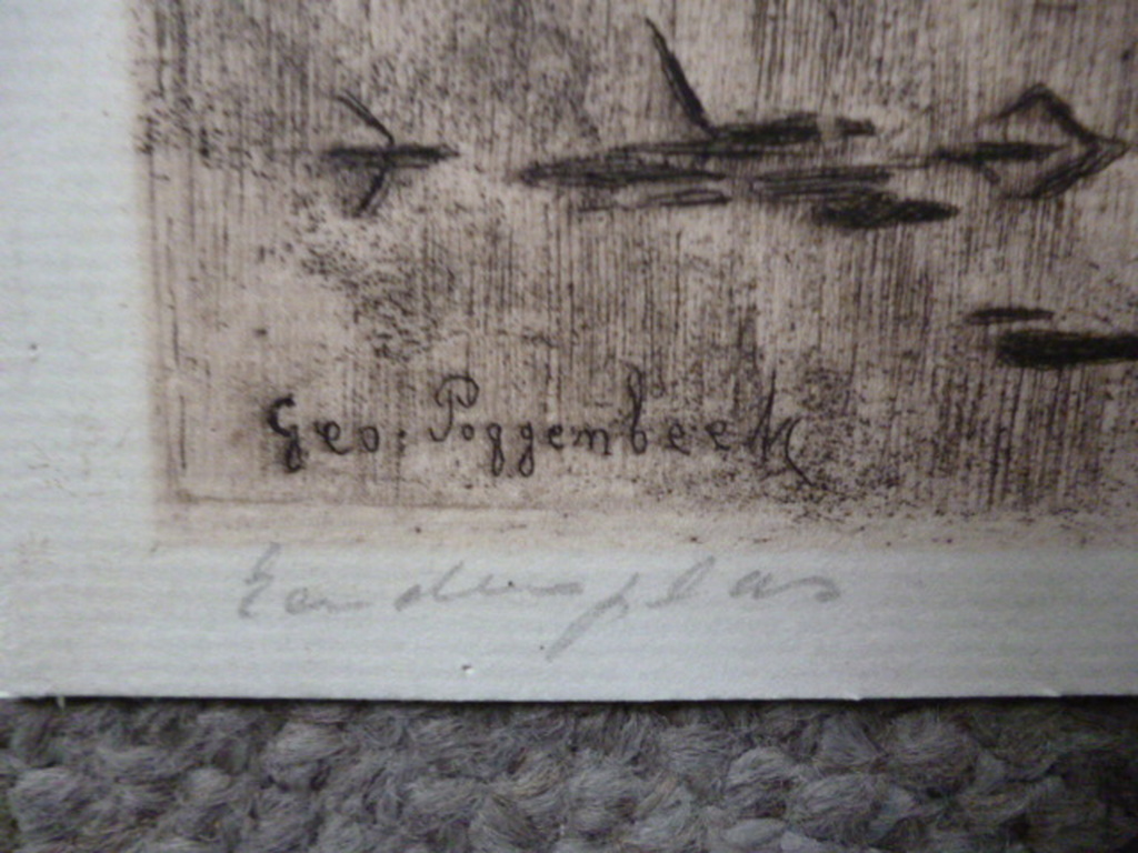 Geo Poggenbeek - ets - Eendenplas kopen? Bied vanaf 25!