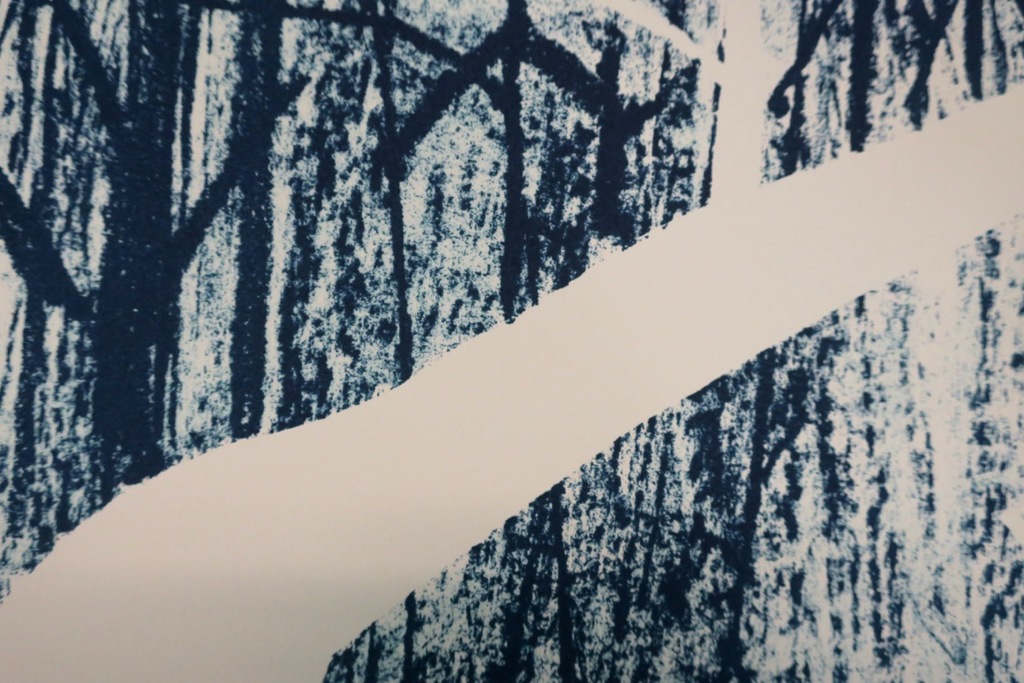 Dorian Hiethaar: Litho, Blauw bos kopen? Bied vanaf 1!