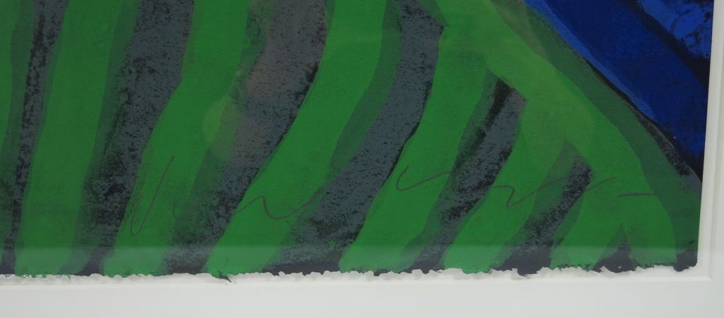 Dodog Soeseno: Kleurenlitho, Mountains of Joy groen - Ingelijst  kopen? Bied vanaf 50!