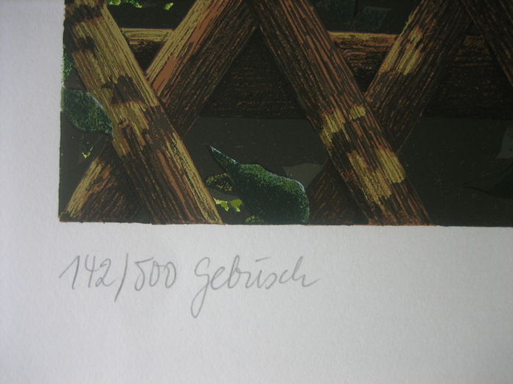 Rolf Schröder-Borm - Gebüsch - Lithografie - handgesigneerd - Oplage: 500 - 1974 kopen? Bied vanaf 1!