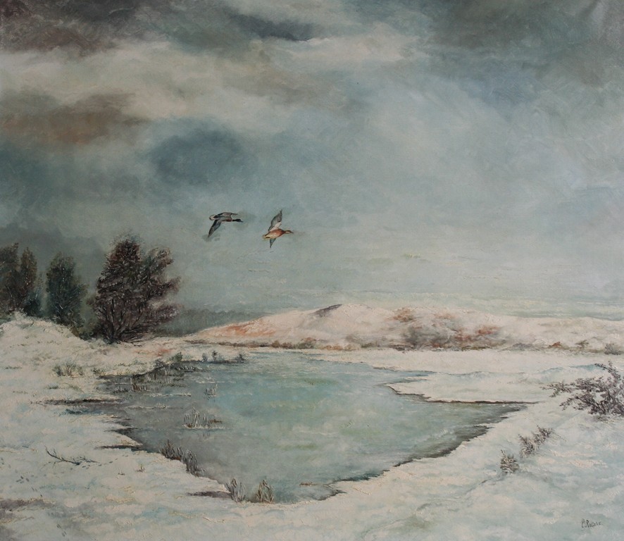 Onbekende kunstenaar - olieverf op doek - Winterlandschap met koppel eenden kopen? Bied vanaf 65!