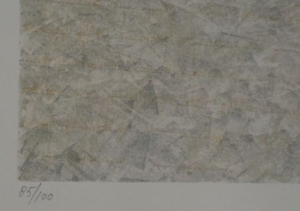 Erik Roos: Zeefdruk, Zonder titel  kopen? Bied vanaf 1!