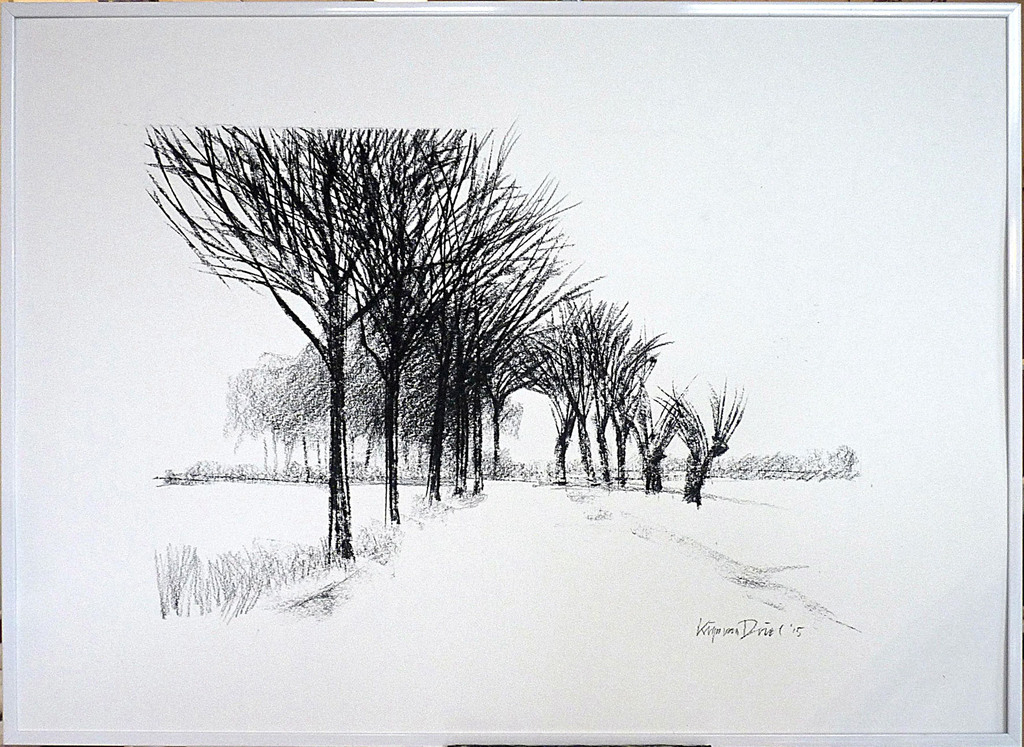 KRIJN VAN DRIEL - "Bij Rockanje" kopen? Bied vanaf 275!