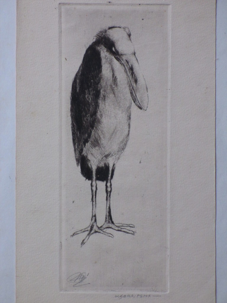 W.C.Gerritsma, Bijzondere vogel, Ets kopen? Bied vanaf 25!