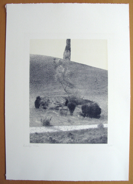 Rodolfo Meli - Zonder Titel - Lithografie kopen? Bied vanaf 1!