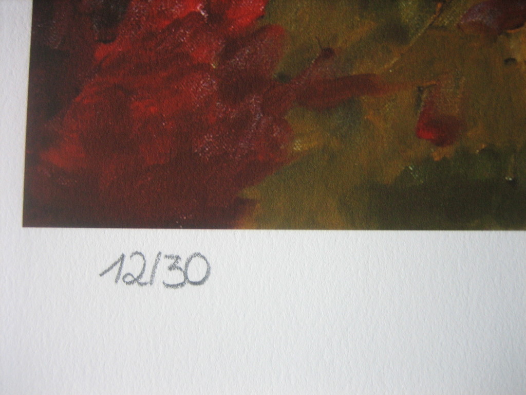 Armando - "Die Blume" - Giclee - Handgesigneerd en -genummerd - 2016 kopen? Bied vanaf 95!