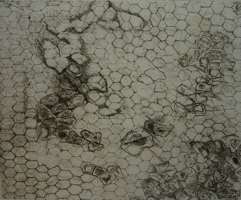Walter Barten : Ets , Kippegaas met hout – gesigneerd – ca 1980 kopen? Bied vanaf 1!