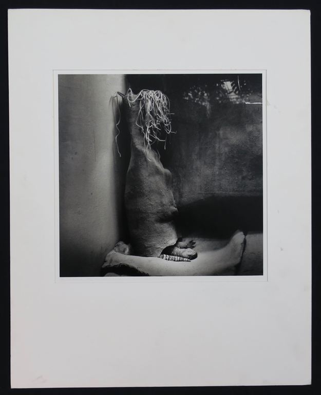 Paul den Hollander: Foto, Untitled  kopen? Bied vanaf 1!