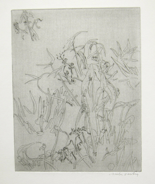 Charles Donker, ets, Pijlkruid, egelskop, lissen kopen? Bied vanaf 75!