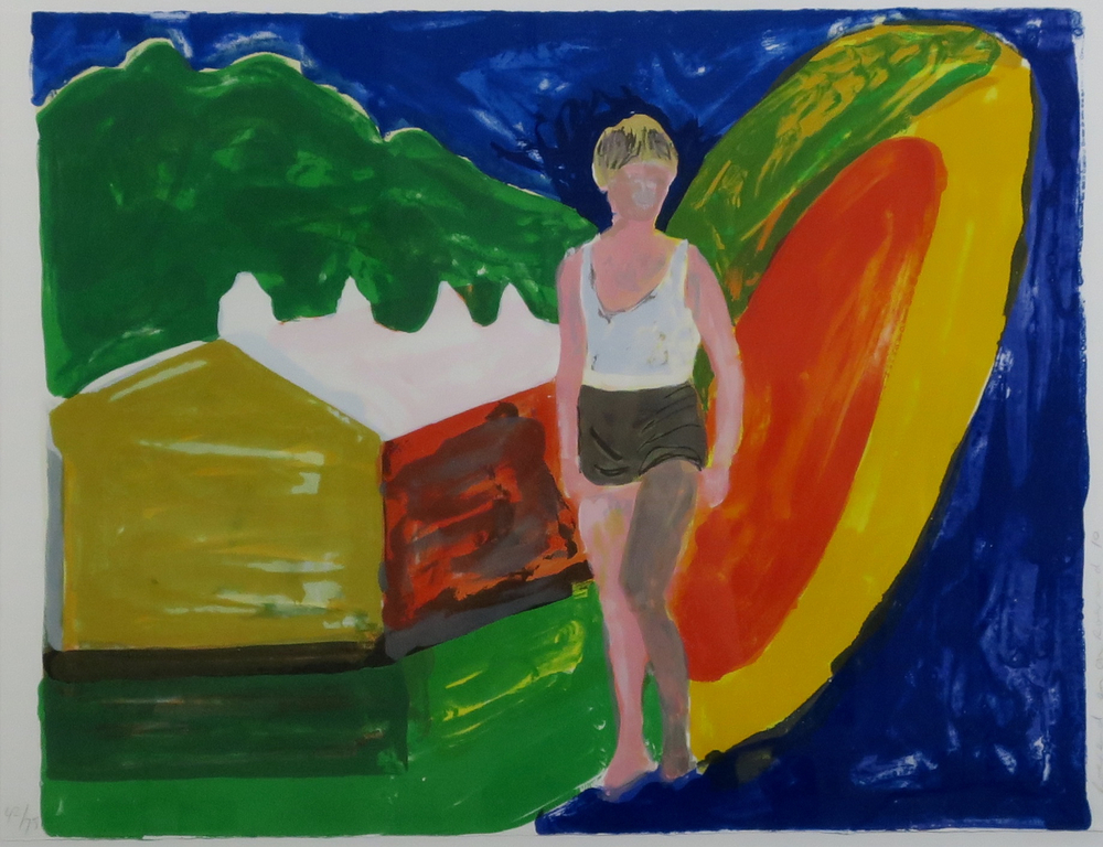 Cees Dolk: Zeefdruk, Roerend en ontroerend (10) - Ingelijst (groot) kopen? Bied vanaf 35!