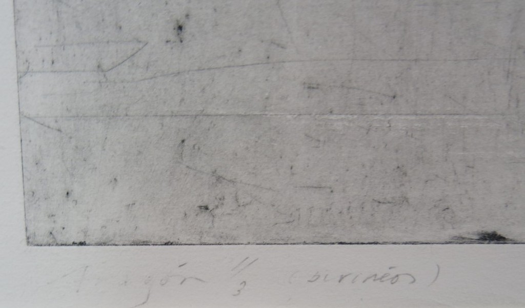 Jan Hein van Rooij: Droge Naald, Pirineos (groot) kopen? Bied vanaf 1!