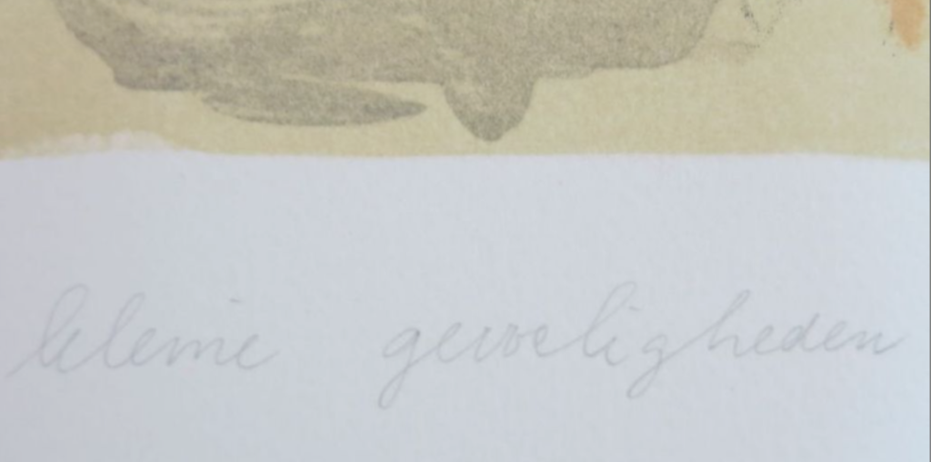 Elizabeth de Vaal: Litho, Kleine Gevoeligheden kopen? Bied vanaf 1!