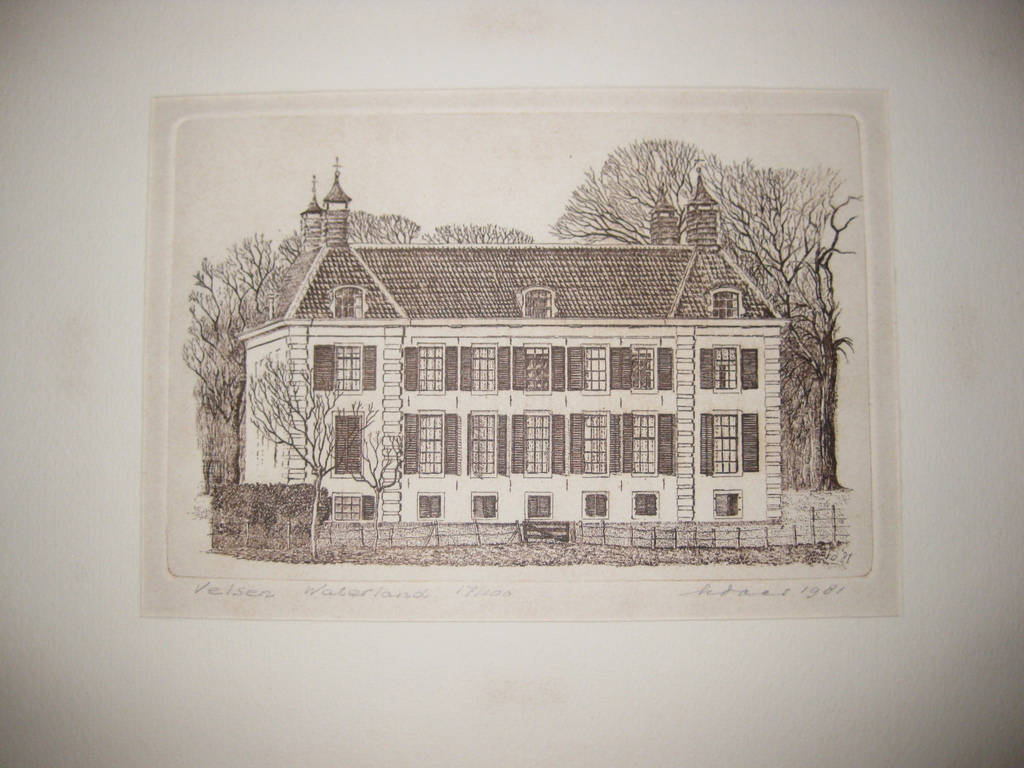 Ets van landgoed Waterland te Velsen - Henk Daas kopen? Bied vanaf 10!