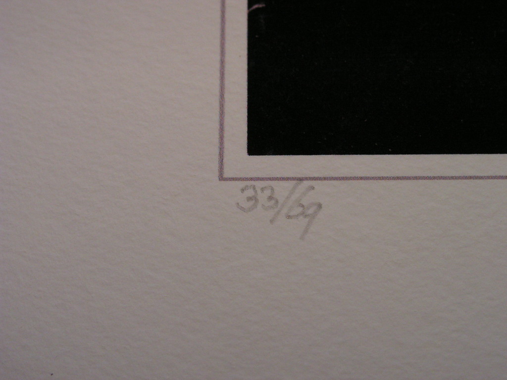 Corneille  -   piezofotografie  -  naakt leunend kopen? Bied vanaf 25!