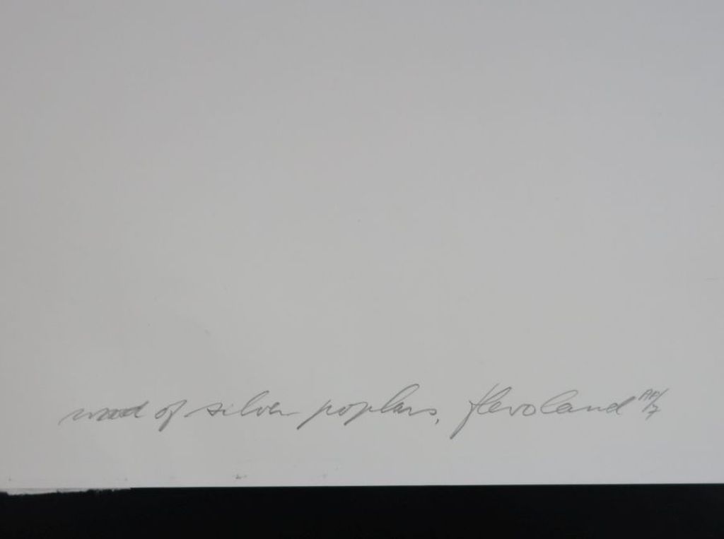 Ger Dekkers: Offset, Flevoland kopen? Bied vanaf 1!