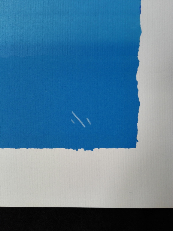 Gerard 't Hart, zeefdruk op papier kopen? Bied vanaf 20!