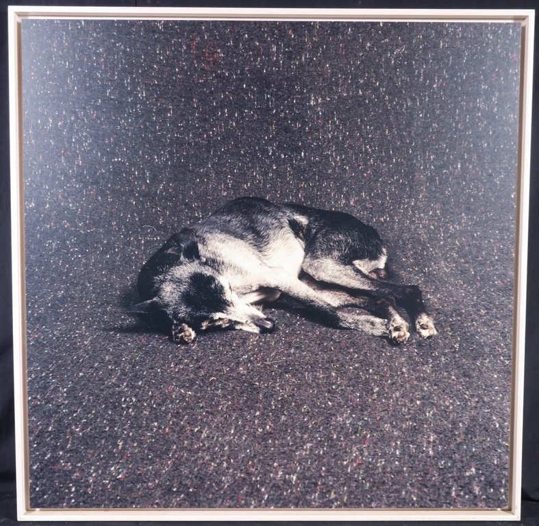 Maarten Wetsema: Foto op aluminium, Rik op bed - Ingelijst kopen? Bied vanaf 50!