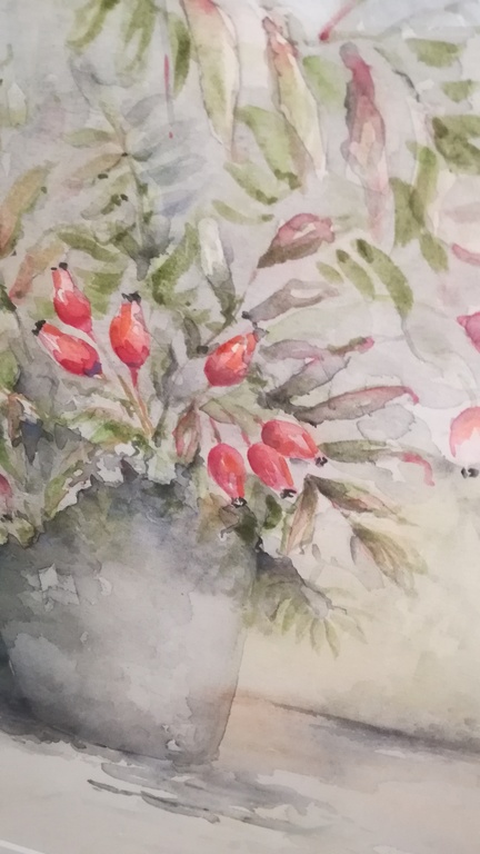 Jan Goselinck - aquarel - Rozenbottel kopen? Bied vanaf 55!