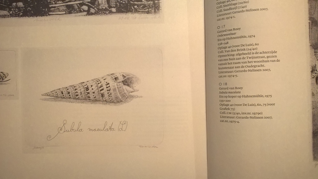 Gerard van Rooy – Subula maculata - gesigneerde ets  kopen? Bied vanaf 75!